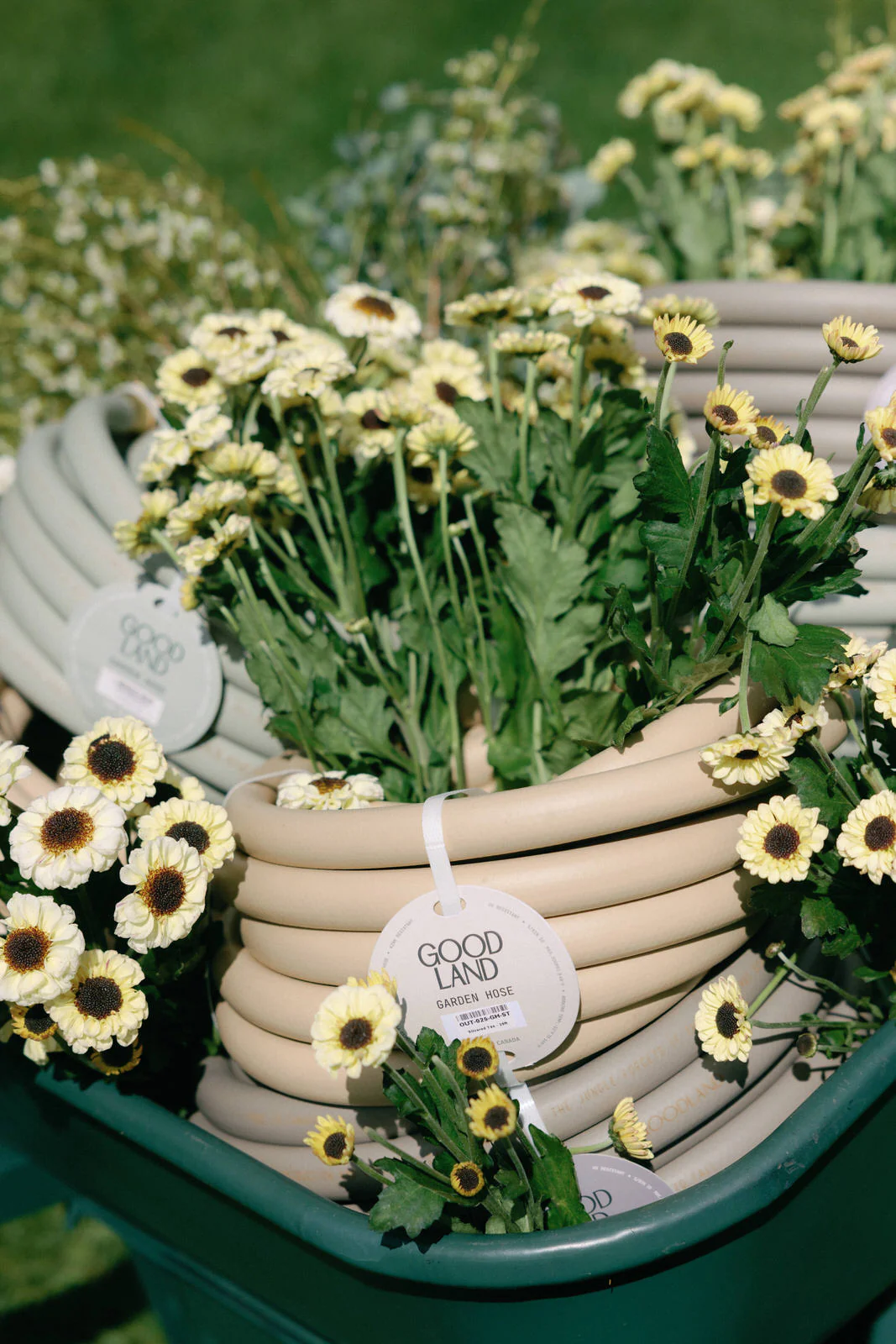 Everlasting Garden Hose - Image 13