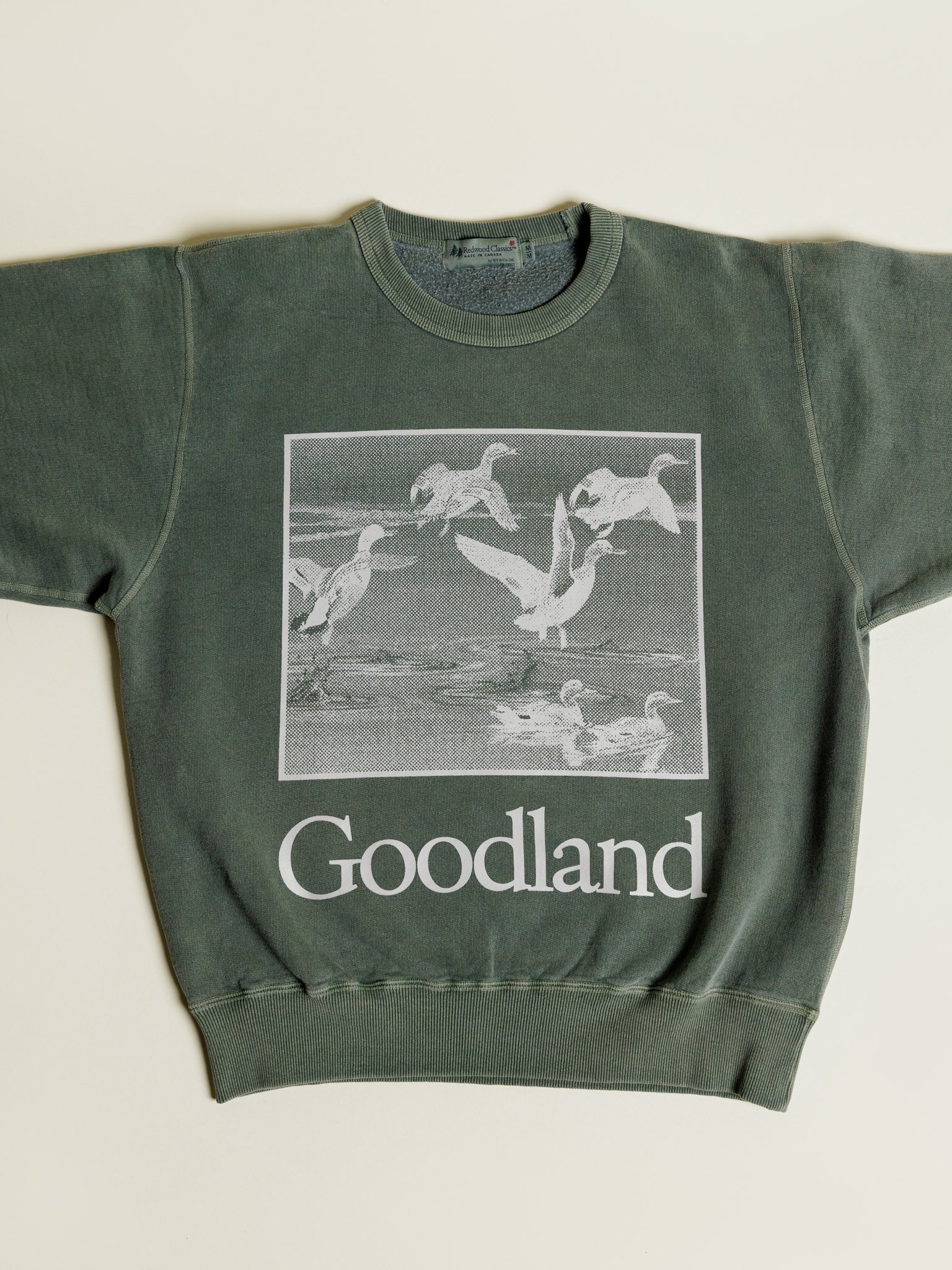 Wetlands Crewneck - Image 3